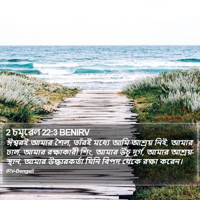 2 চমূৱেল 22:3 BENIRV Bible Verse Image