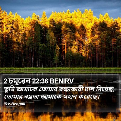 2 চমূৱেল 22:36 BENIRV Bible Verse Image