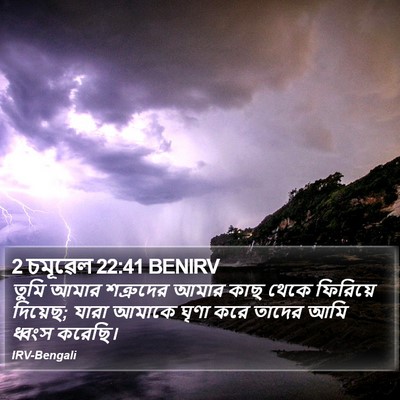 2 চমূৱেল 22:41 BENIRV Bible Verse Image