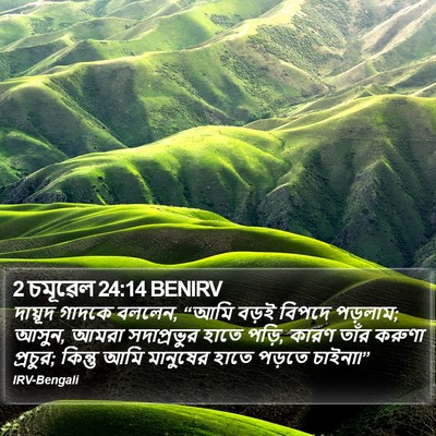 2 চমূৱেল 24:14 BENIRV Bible Verse Image