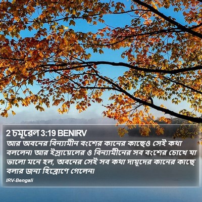 2 চমূৱেল 3:19 BENIRV Bible Verse Image