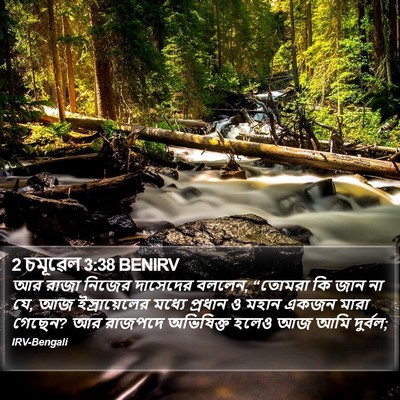 2 চমূৱেল 3:38 BENIRV Bible Verse Image
