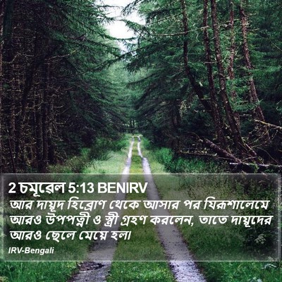 2 চমূৱেল 5:13 BENIRV Bible Verse Image