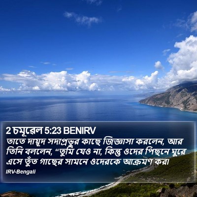 2 চমূৱেল 5:23 BENIRV Bible Verse Image