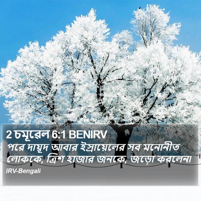 2 চমূৱেল 6:1 BENIRV Bible Verse Image