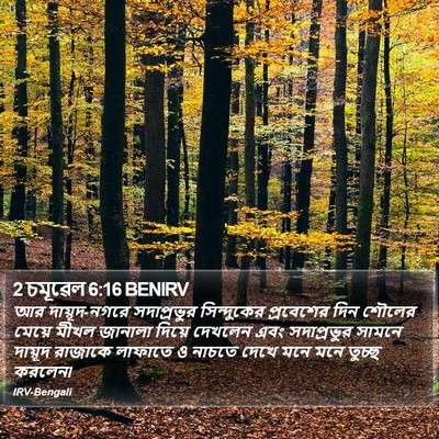 2 চমূৱেল 6:16 BENIRV Bible Verse Image