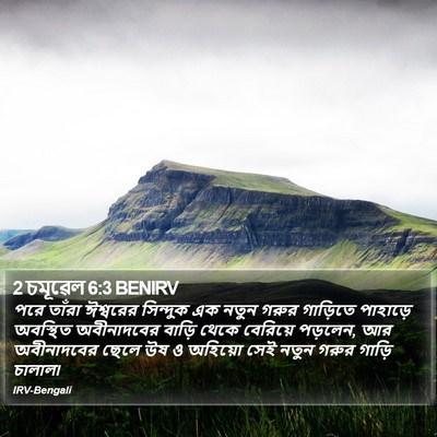 2 চমূৱেল 6:3 BENIRV Bible Verse Image