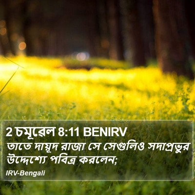 2 চমূৱেল 8:11 BENIRV Bible Verse Image