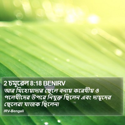 2 চমূৱেল 8:18 BENIRV Bible Verse Image