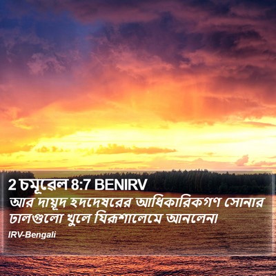 2 চমূৱেল 8:7 BENIRV Bible Verse Image