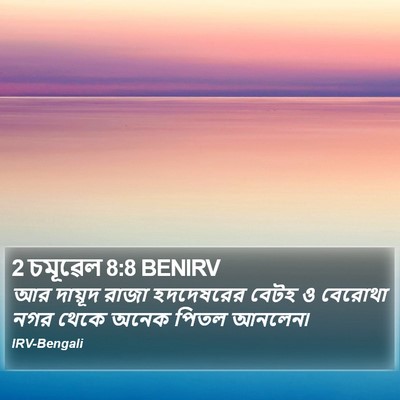 2 চমূৱেল 8:8 BENIRV Bible Verse Image