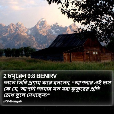 2 চমূৱেল 9:8 BENIRV Bible Verse Image