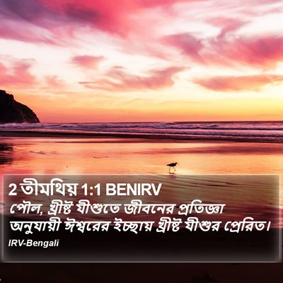 2 তীমথিয় 1:1 BENIRV Bible Verse Image