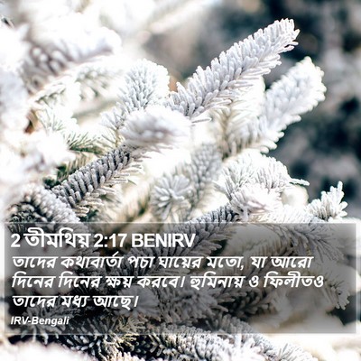 2 তীমথিয় 2:17 BENIRV Bible Verse Image