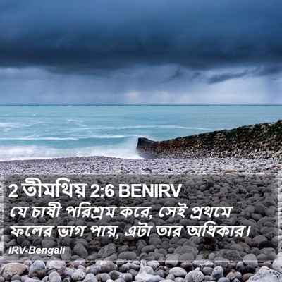 2 তীমথিয় 2:6 BENIRV Bible Verse Image