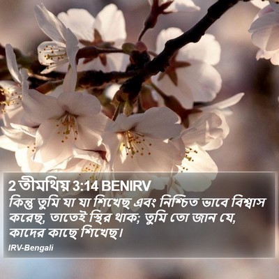 2 তীমথিয় 3:14 BENIRV Bible Verse Image