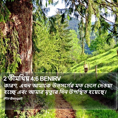 2 তীমথিয় 4:6 BENIRV Bible Verse Image