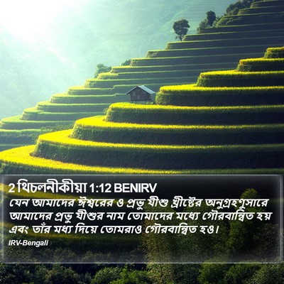 2 থিচলনীকীয়া 1:12 BENIRV Bible Verse Image