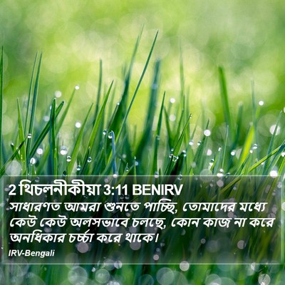 2 থিচলনীকীয়া 3:11 BENIRV Bible Verse Image