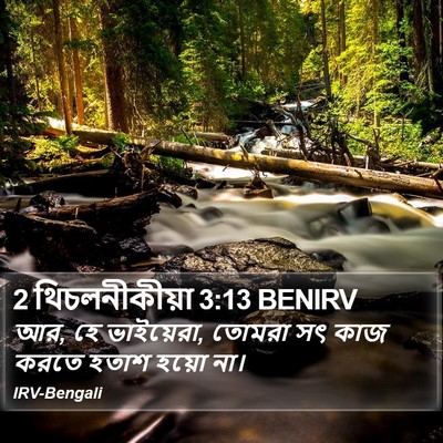 2 থিচলনীকীয়া 3:13 BENIRV Bible Verse Image