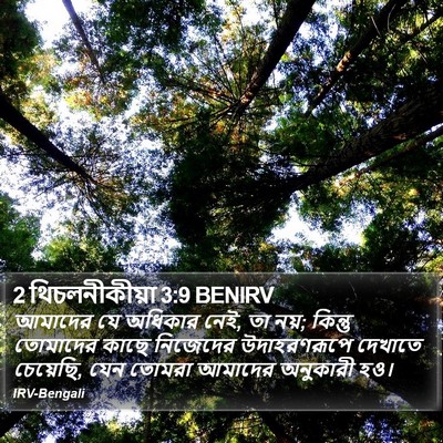 2 থিচলনীকীয়া 3:9 BENIRV Bible Verse Image