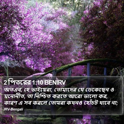 2 পিতরের 1:10 BENIRV Bible Verse Image