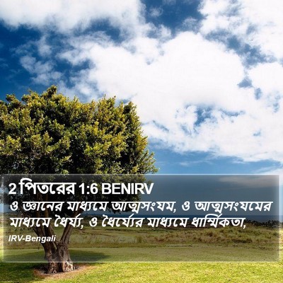 2 পিতরের 1:6 BENIRV Bible Verse Image