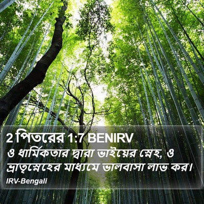 2 পিতরের 1:7 BENIRV Bible Verse Image