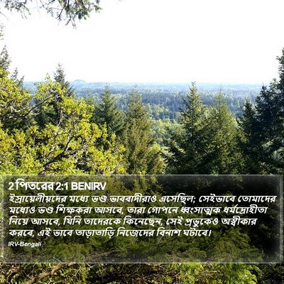 2 পিতরের 2:1 BENIRV Bible Verse Image