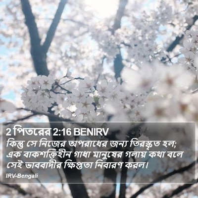 2 পিতরের 2:16 BENIRV Bible Verse Image