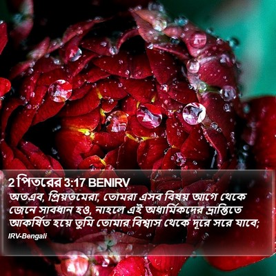 2 পিতরের 3:17 BENIRV Bible Verse Image