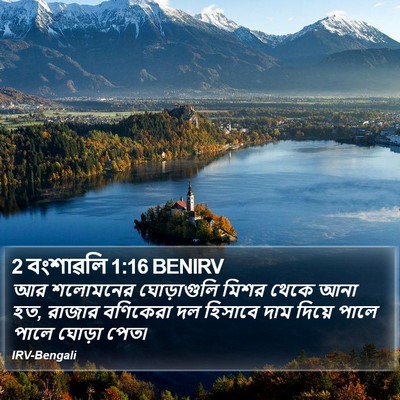2 বংশাৱলি 1:16 BENIRV Bible Verse Image