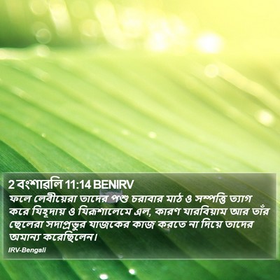 2 বংশাৱলি 11:14 BENIRV Bible Verse Image
