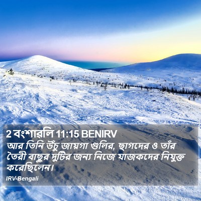 2 বংশাৱলি 11:15 BENIRV Bible Verse Image