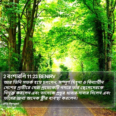 2 বংশাৱলি 11:23 BENIRV Bible Verse Image
