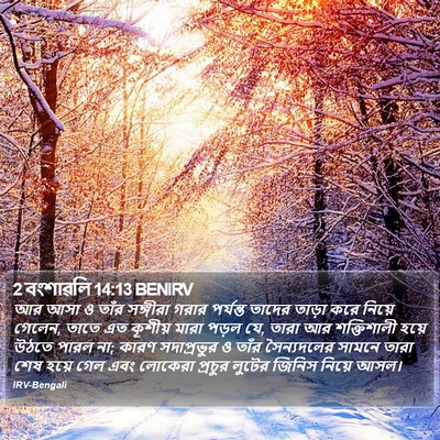 2 বংশাৱলি 14:13 BENIRV Bible Verse Image