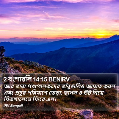 2 বংশাৱলি 14:15 BENIRV Bible Verse Image