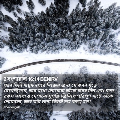 2 বংশাৱলি 16:14 BENIRV Bible Verse Image