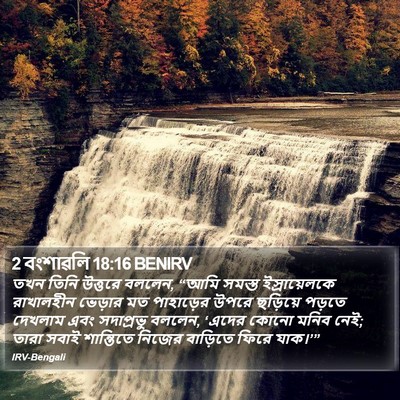 2 বংশাৱলি 18:16 BENIRV Bible Verse Image