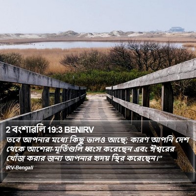 2 বংশাৱলি 19:3 BENIRV Bible Verse Image