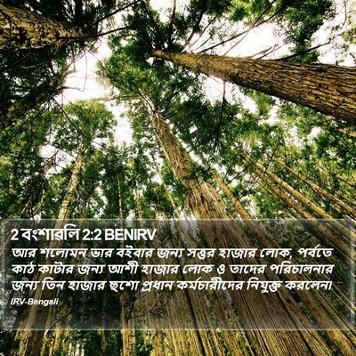 2 বংশাৱলি 2:2 BENIRV Bible Verse Image