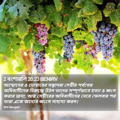 2 বংশাৱলি 20:23 BENIRV Bible Verse Image