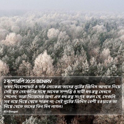 2 বংশাৱলি 20:25 BENIRV Bible Verse Image