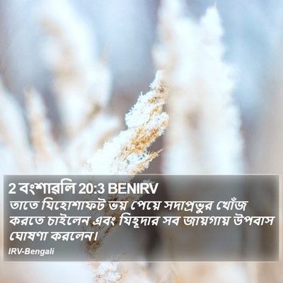 2 বংশাৱলি 20:3 BENIRV Bible Verse Image