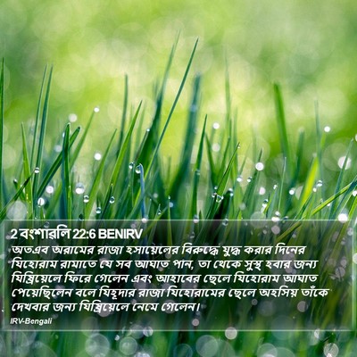 2 বংশাৱলি 22:6 BENIRV Bible Verse Image