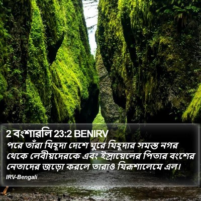 2 বংশাৱলি 23:2 BENIRV Bible Verse Image