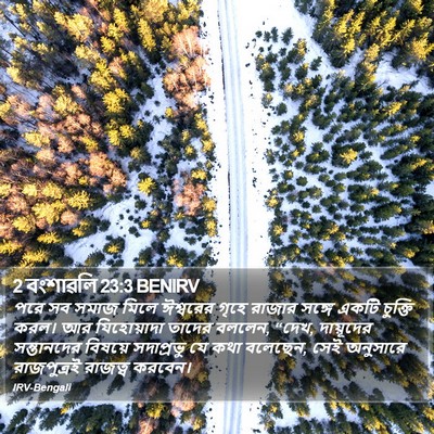 2 বংশাৱলি 23:3 BENIRV Bible Verse Image