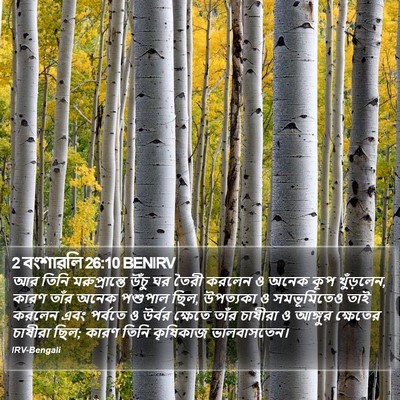 2 বংশাৱলি 26:10 BENIRV Bible Verse Image