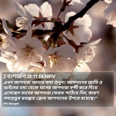 2 বংশাৱলি 28:11 BENIRV Bible Verse Image