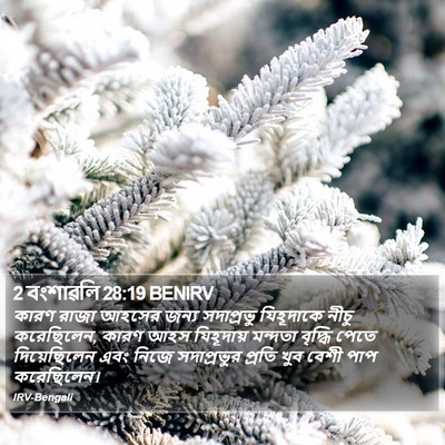 2 বংশাৱলি 28:19 BENIRV Bible Verse Image